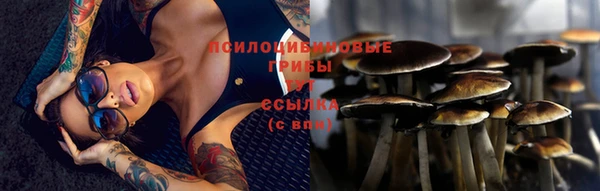 тгк Алексин