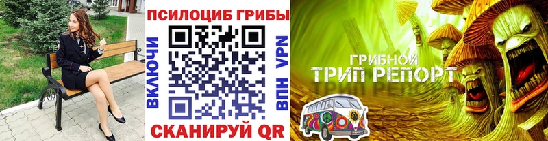 Галлюциногенные грибы Psilocybe цены наркотик Ладушкин